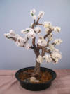 Faux white cherry blossom bonsai tree made of wire and tape