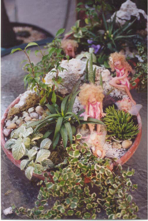 fairy garden one special